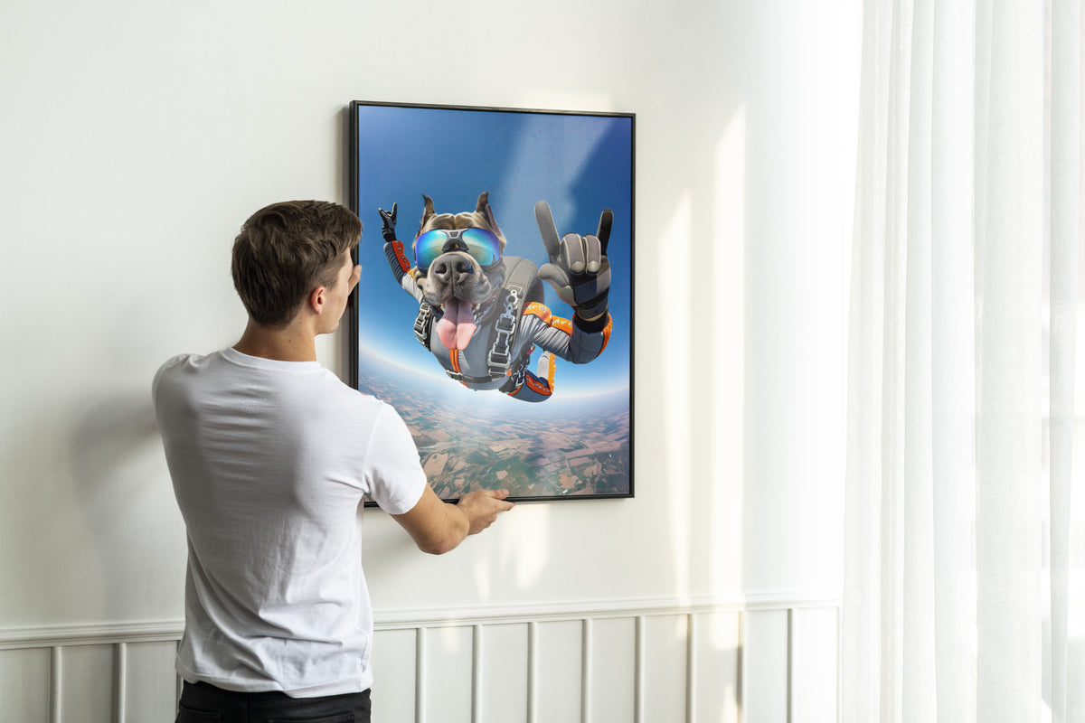 Poster Cane Corso parachutiste en cadre noir ajusté au mur par un homme en t-shirt blanc