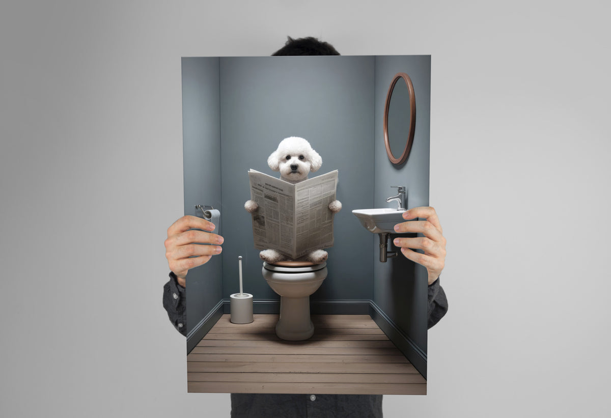 Affiche Bichon Frisé lisant le journal sans cadre, tenue à deux mains face à l'objectif
