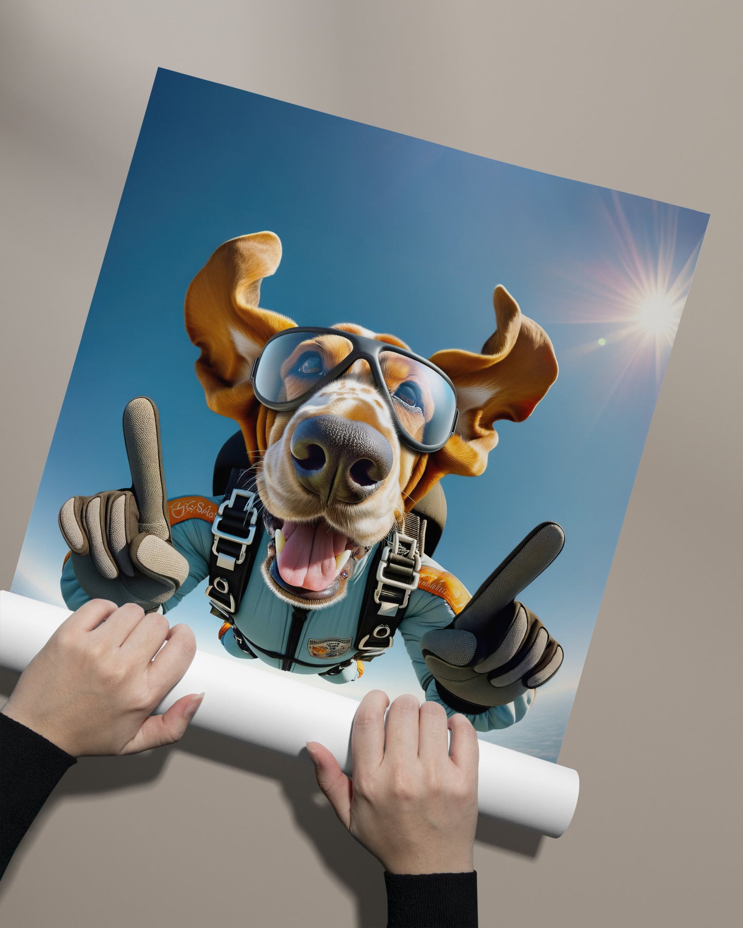 Poster Basset Hound en chute libre déroulé à la main, sans cadre
