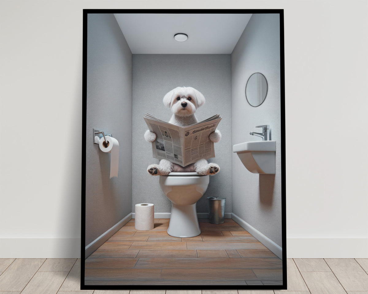 Bichon maltais blanc lisant le journal sur les toilettes, WC gris au parquet avec miroir rond, poster Balthazart Studio
