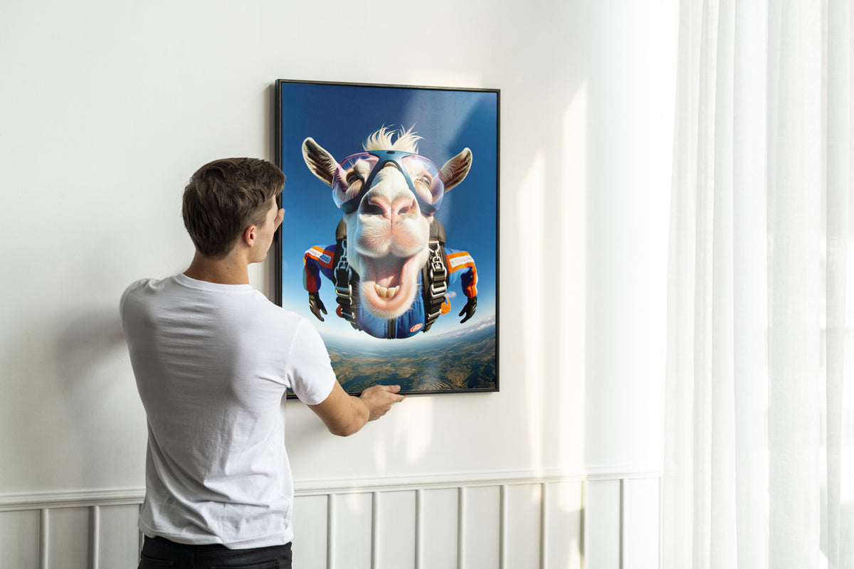 Man putting up the black-framed skydiving goat poster in a bright white room