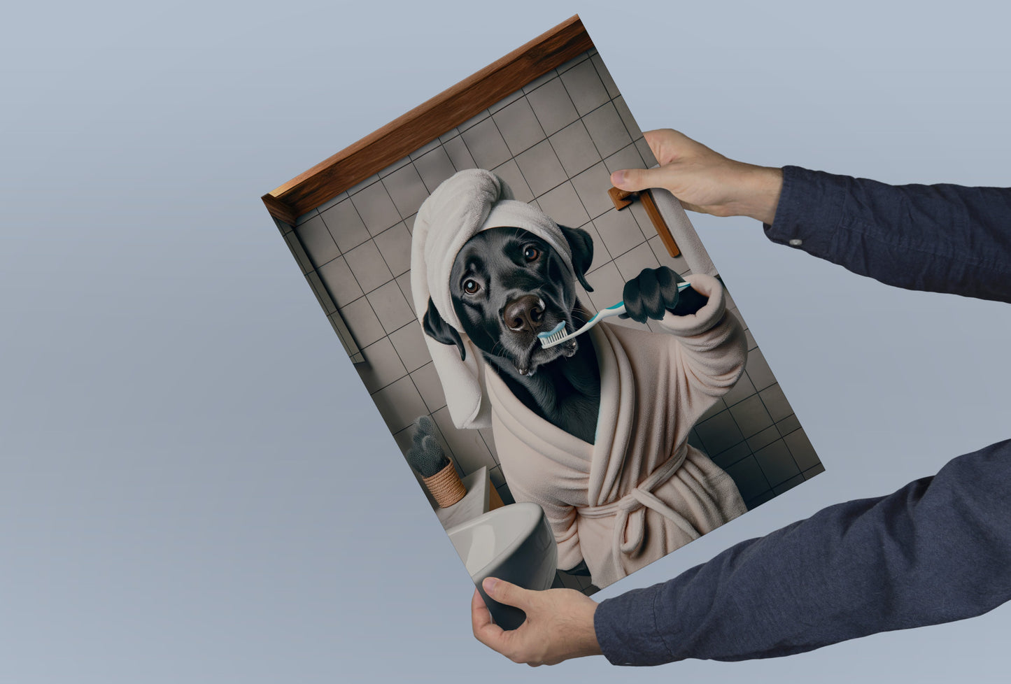 Poster Labrador noir en peignoir tenu à deux mains devant un fond gris-bleu