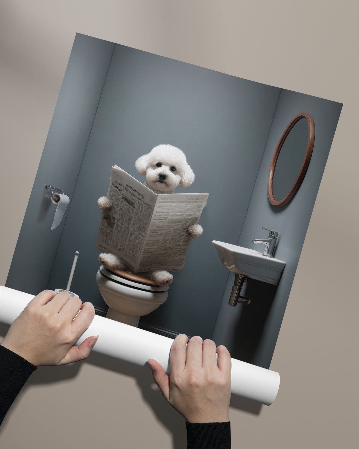 Affiche Bichon Frisé lisant le journal sans cadre, déroulée à la main sur fond beige