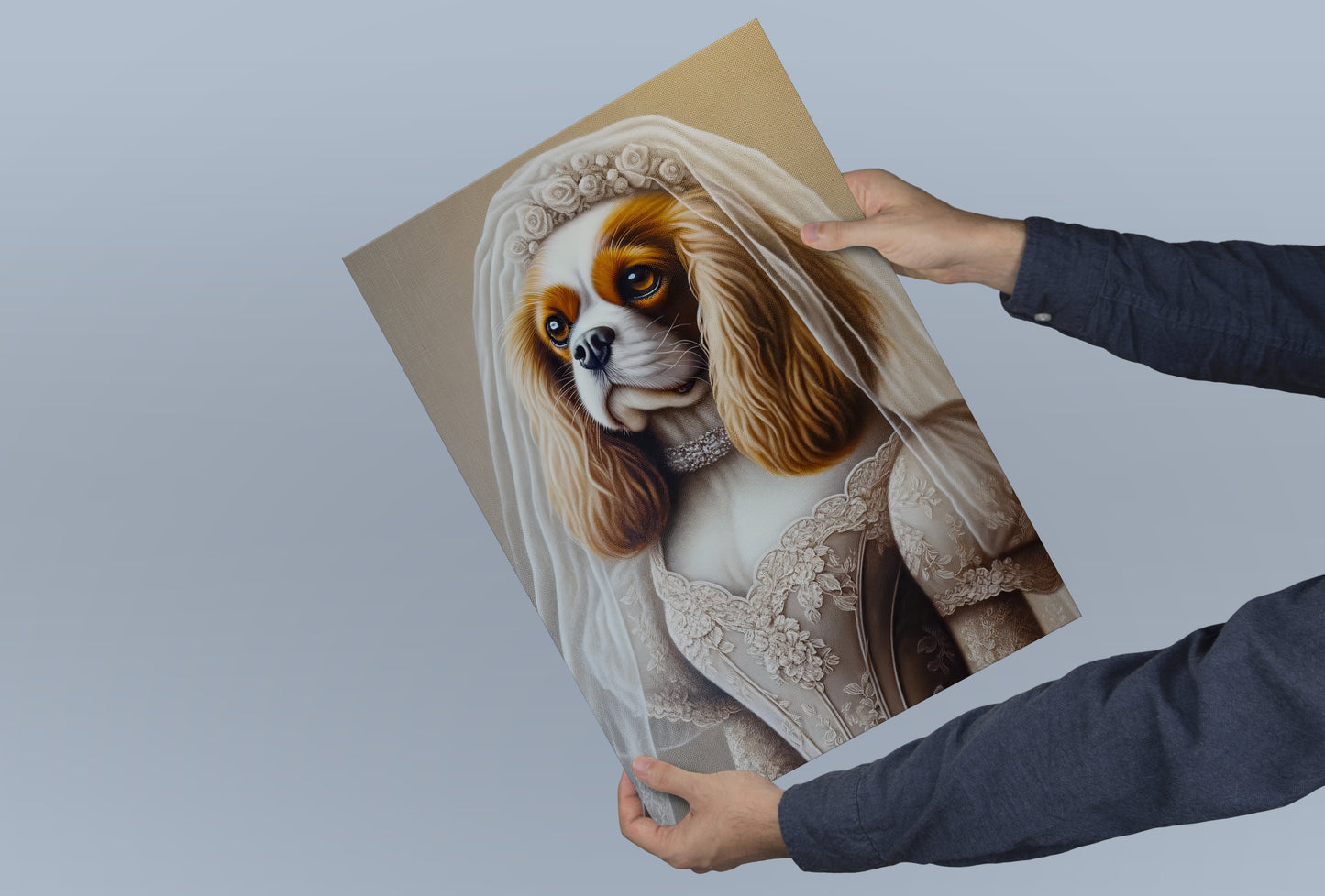Poster Cavalier King Charles en mariée tenu à deux mains devant un fond bleu-gris
