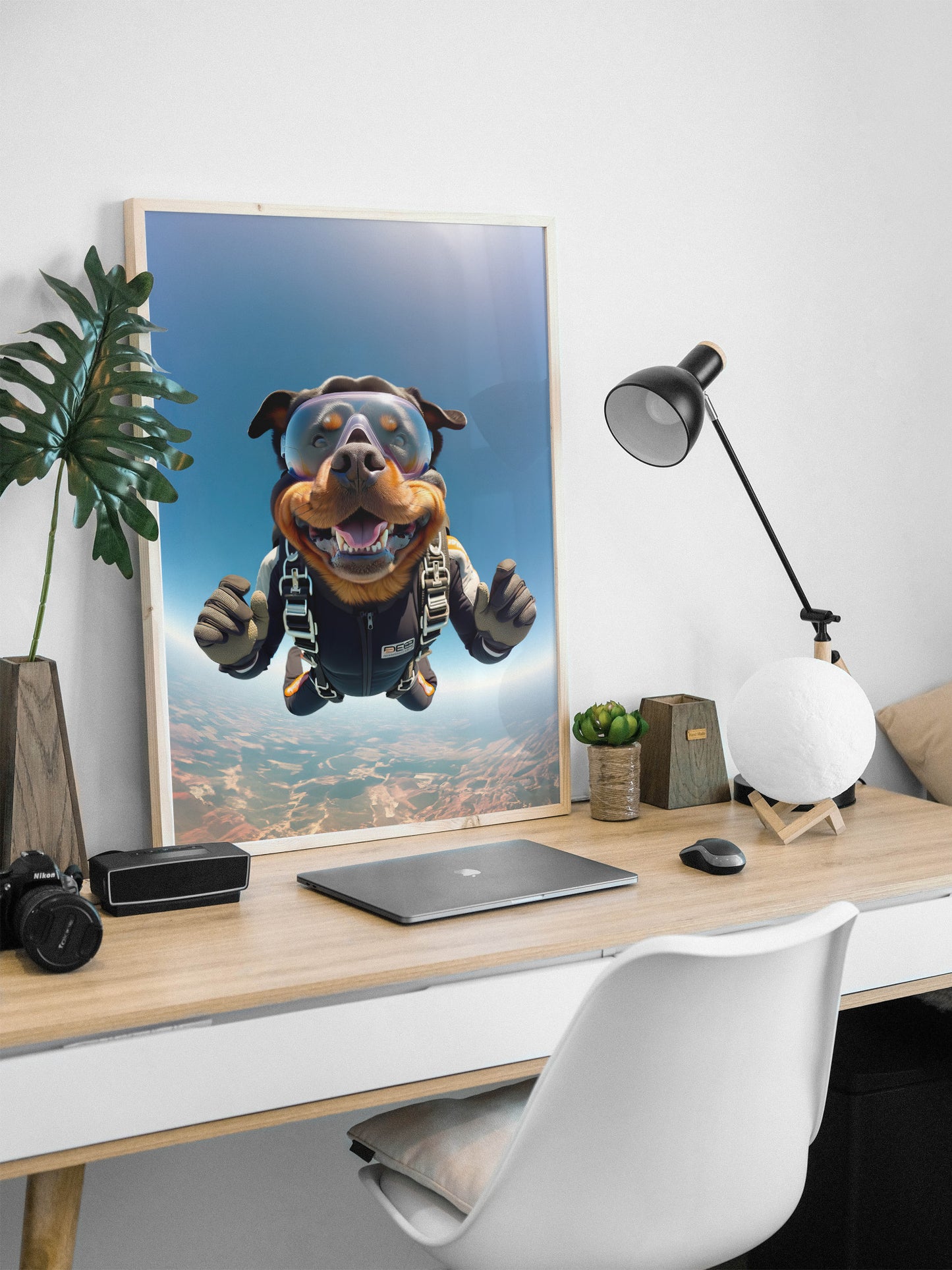 Affiche Rottweiler en chute libre, cadre bois clair sur un bureau blanc avec lampe d'architecte et plante