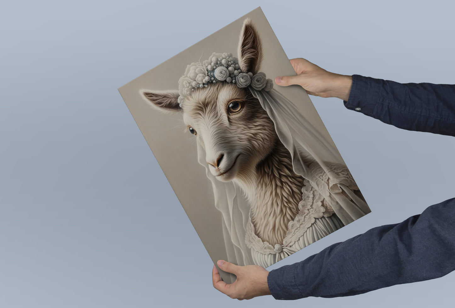 Sheep in a wedding dress poster held in two hands against a blue-gray background