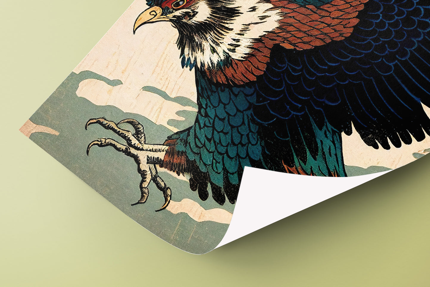 Détail du poster aigle japonais : bec jaune, serres et plumes gravées, coin du papier enroulé