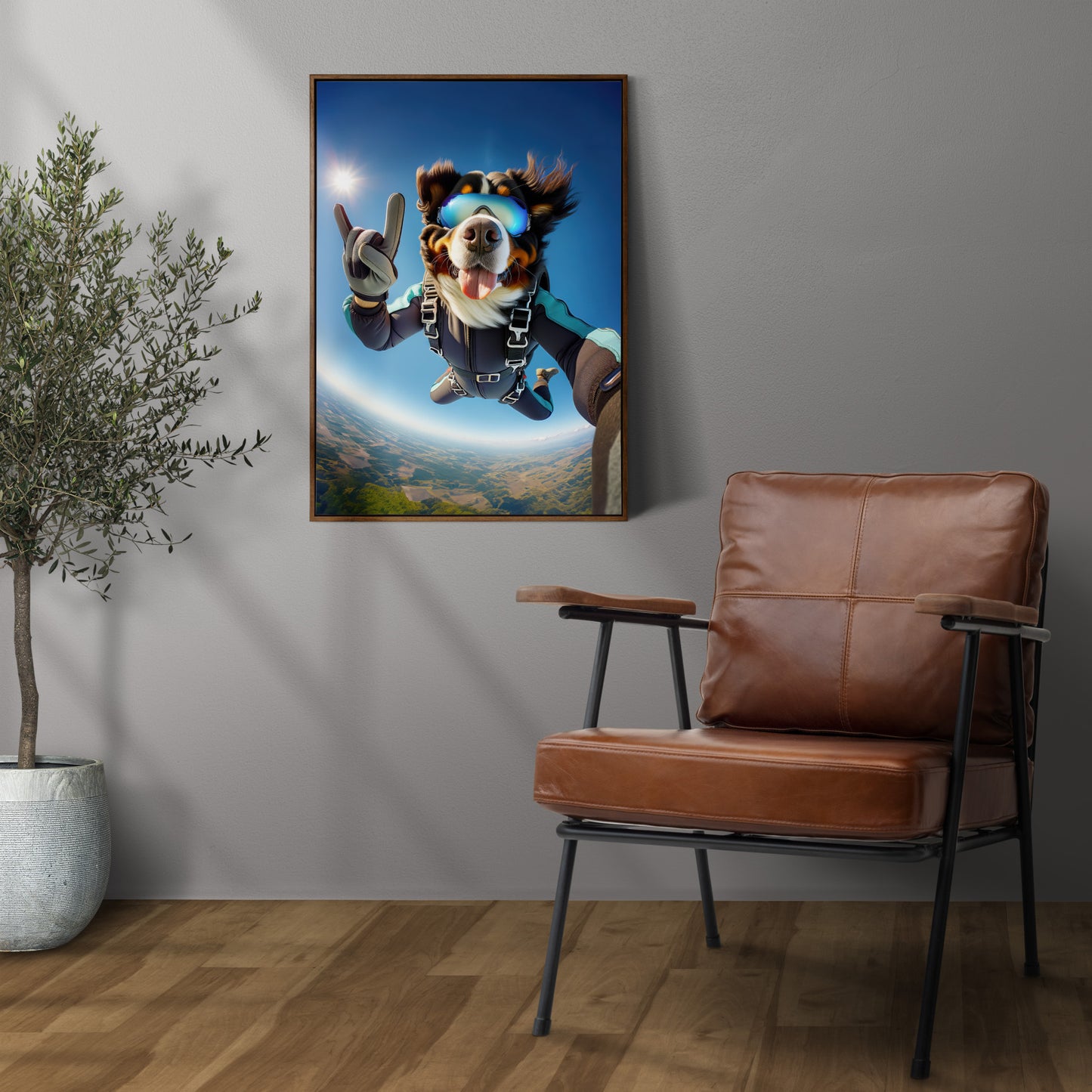 Poster Bouvier Bernois en chute libre en cadre bois foncé sur un mur gris, à côté d'un fauteuil en cuir et d'un olivier