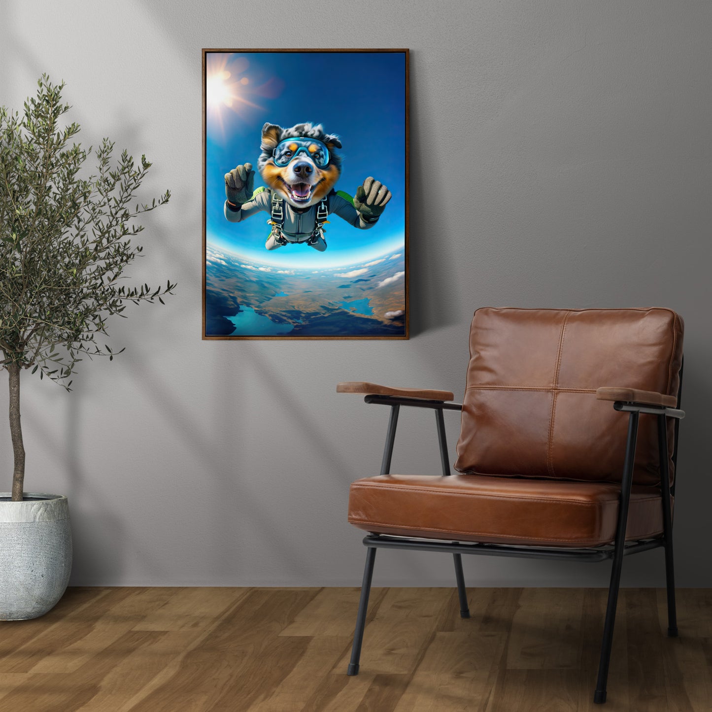 Affiche Berger Australien en parachute au mur gris, cadre bois foncé au-dessus d'un fauteuil en cuir, olivier en pot