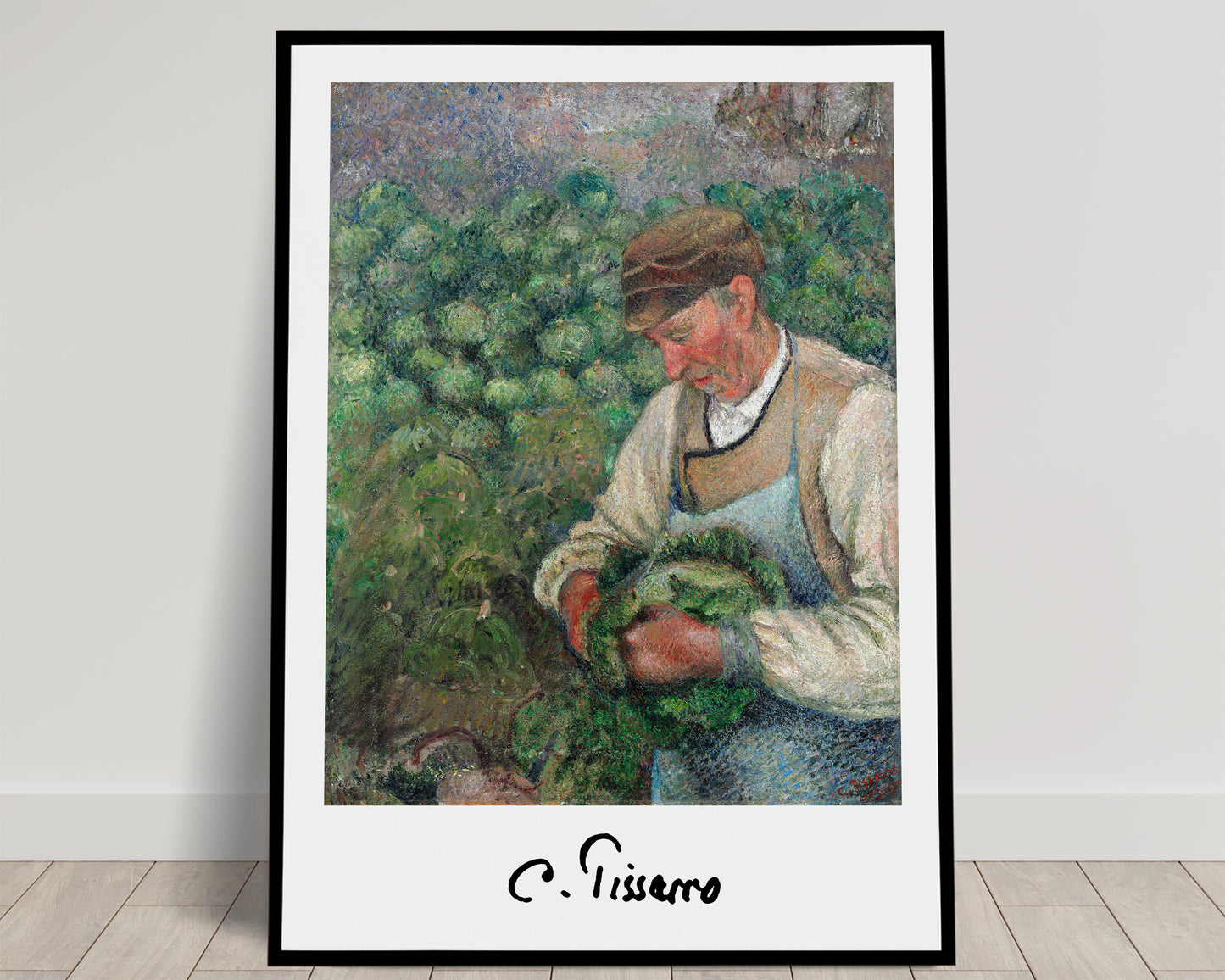 Vieux paysan avec chou de Pissarro : jardinier âgé en casquette tenant un chou dans un potager vert, affiche signée