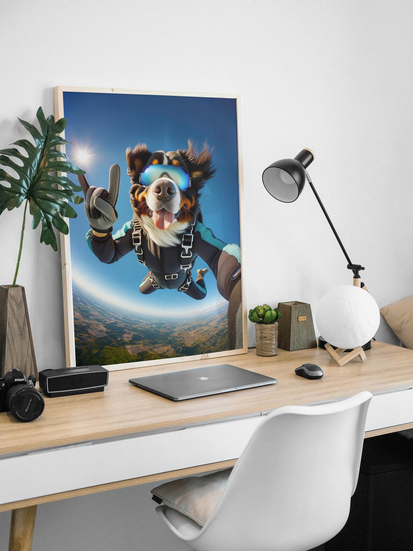 Poster Bouvier Bernois en chute libre en cadre bois clair posé sur un bureau, lampe noire et ordinateur portable