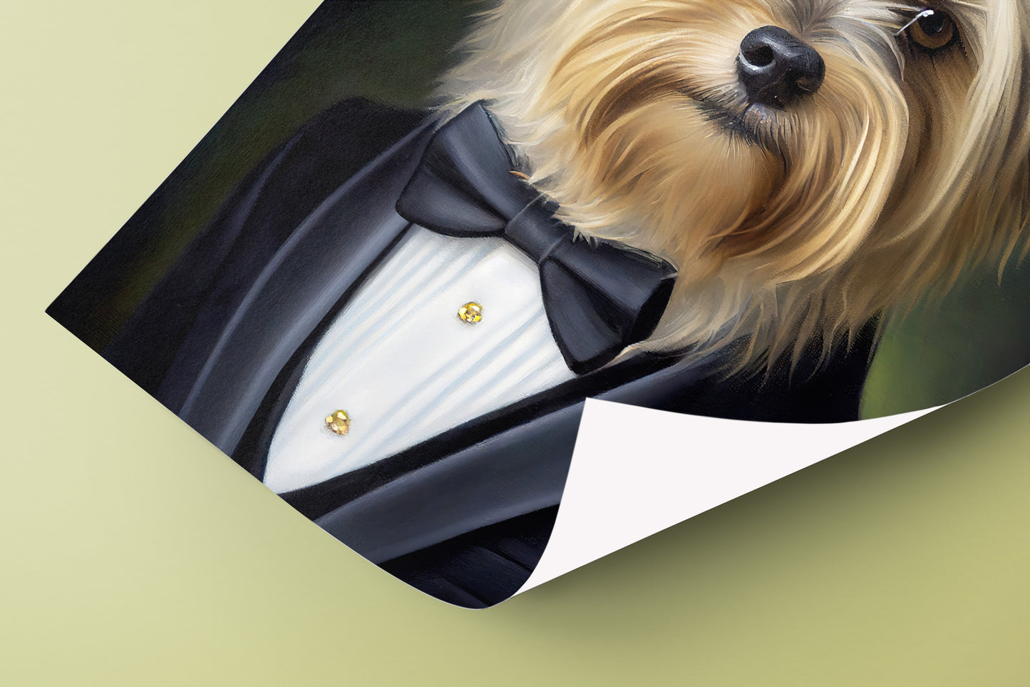 Yorkshire Terrier Tuxedo Poster - Dog Portrait Wall Art, Animal Decoration for Home, Yorkshire Wall Poster