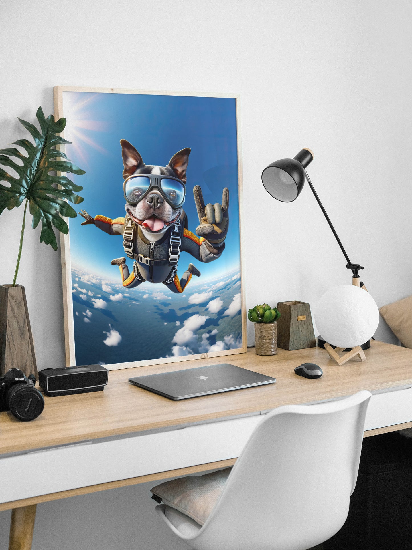 Affiche murale Boston Terrier en chute libre, Poster Saut en Parachute Chien, Déco Sport Extrême, Idée cadeau unique