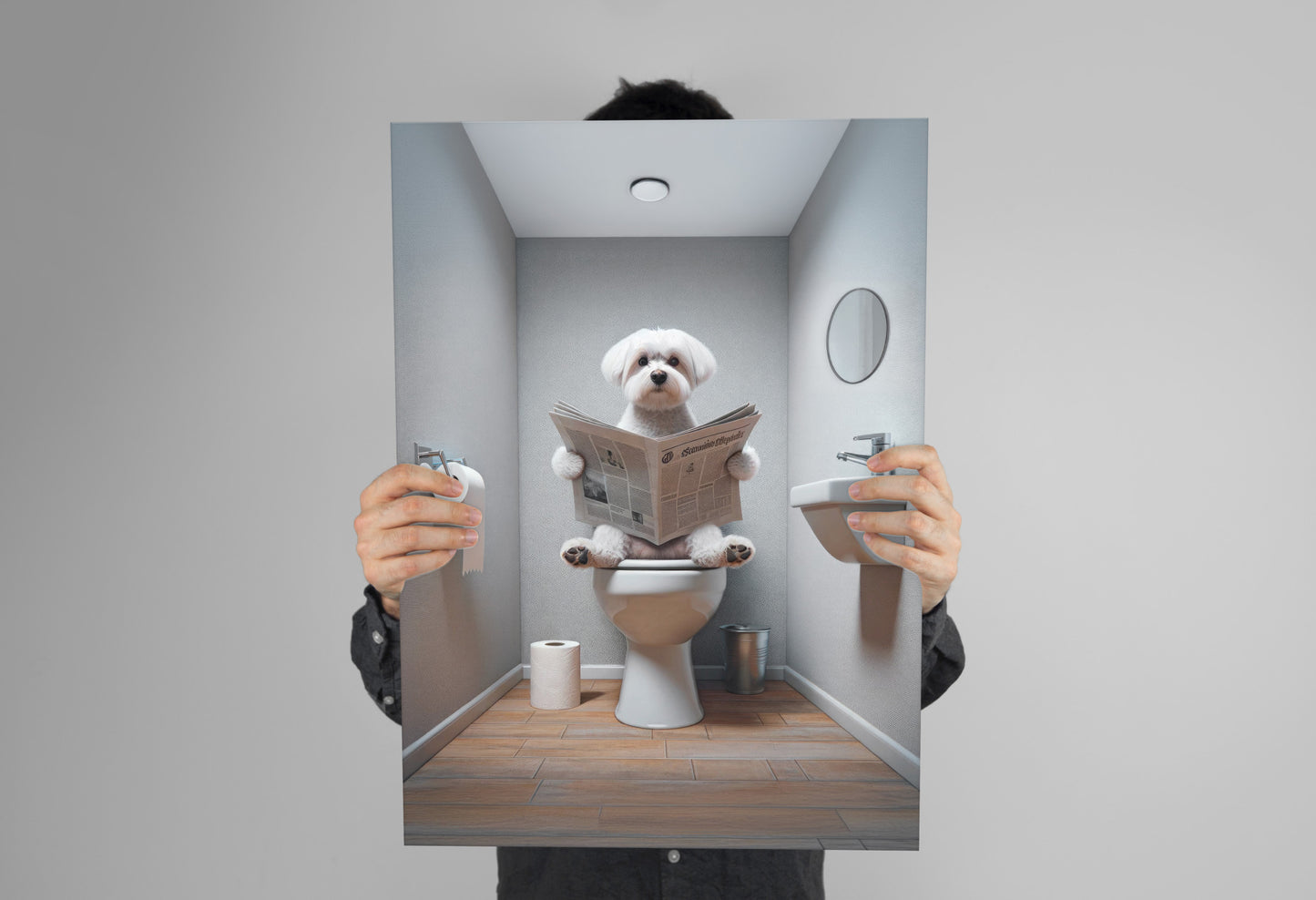 Poster Humour Bichon Maltais lisant le journal, Décoration WC, Salle de bain, Cadeau Amusant, Art Mural