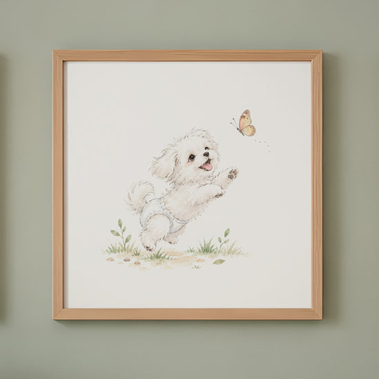 Bébé bichon maltais en couche blanche tend les pattes vers un papillon